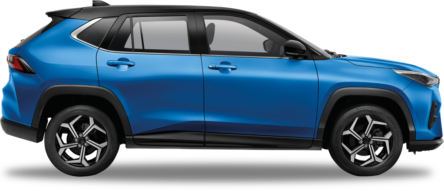 Traz Cranberry Red (contoh)